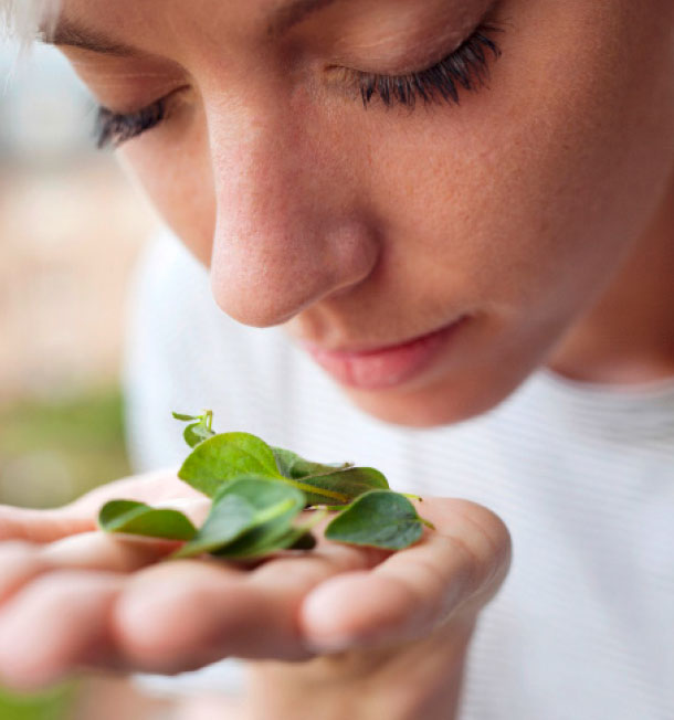 La formation aux parfums dispensée par un médecin doit être maintenue pendant au moins quatre mois pour que le succès soit au rendez-vous.