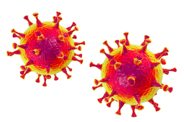 Illustration von zwei Corona Viren.