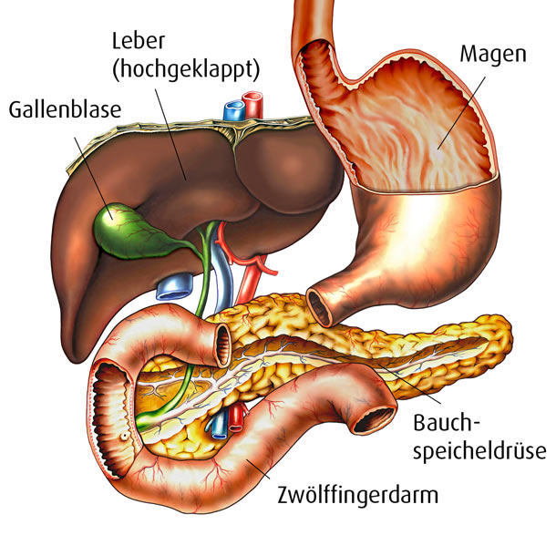 Galle Grafik