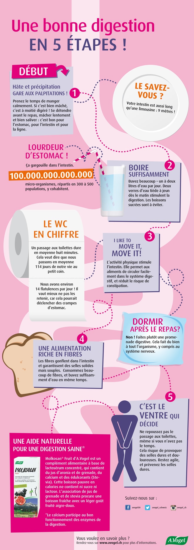 Stimuler la digestion - Infographie