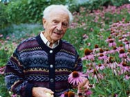 Alfred Vogel im Echinacea Feld