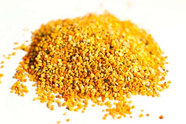 Blütenpollen