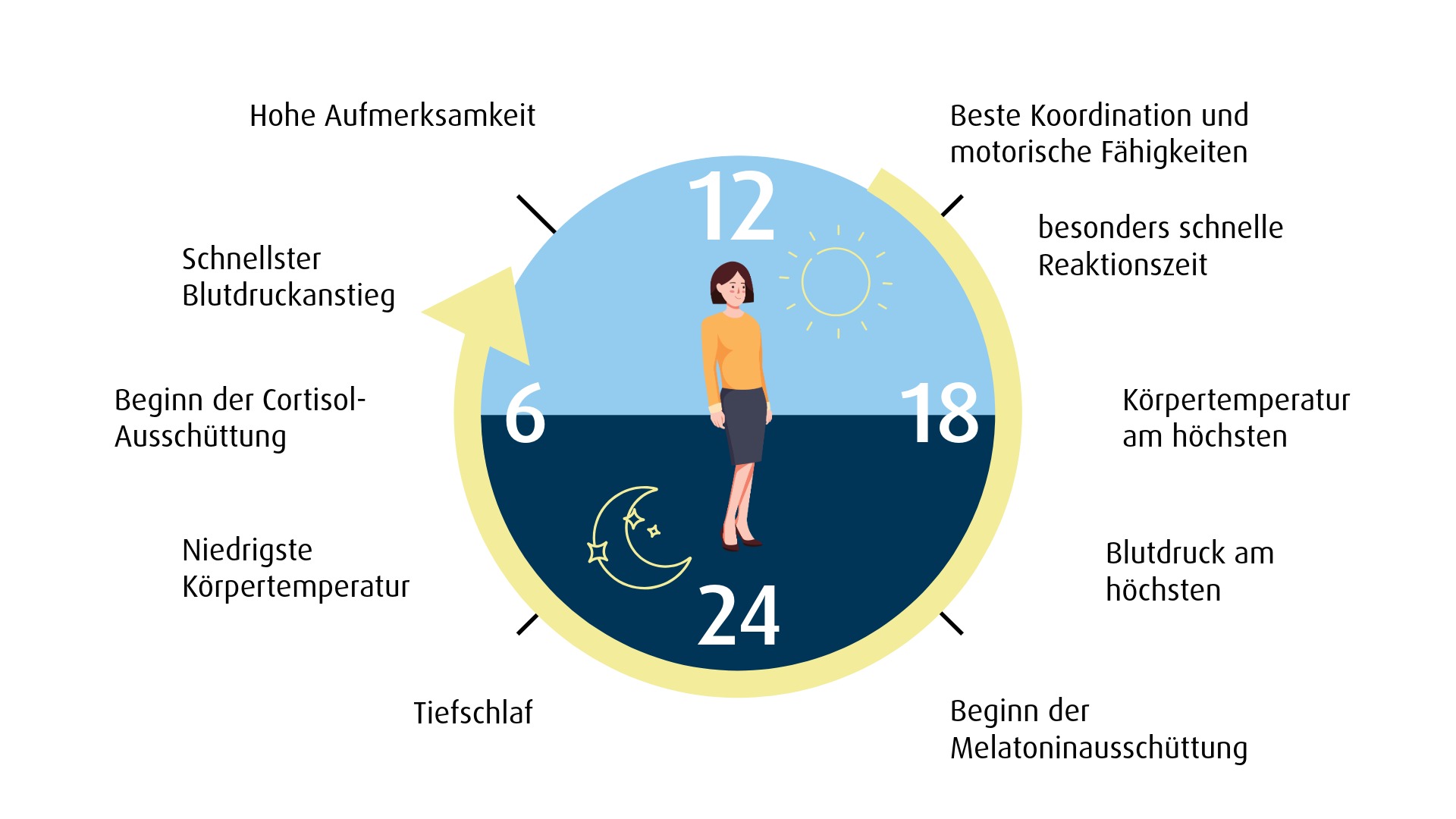 Grafik Innere Uhr und Leistungsfähigkeit