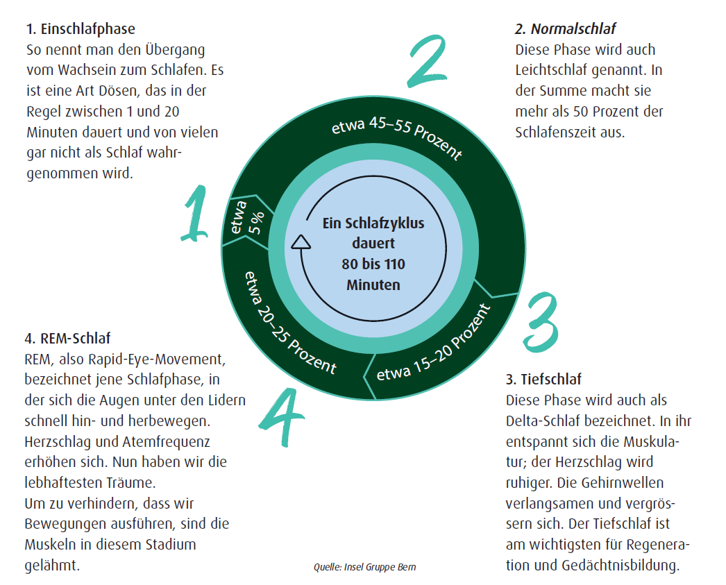 Übersicht Schlafphasen