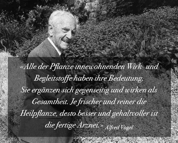 Frischpflanzen-Verarbeitung, die Pflanze als Ganzes wahrnehmen.