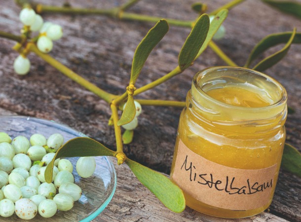 Mistelbalm (Foto: Mauritius Images/Blickwinkel) Mistelbalm