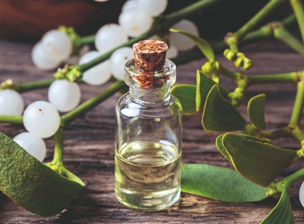 Mistelextrakt (Foto: 123RF/madeleinesteinbach) Mistelextrakt