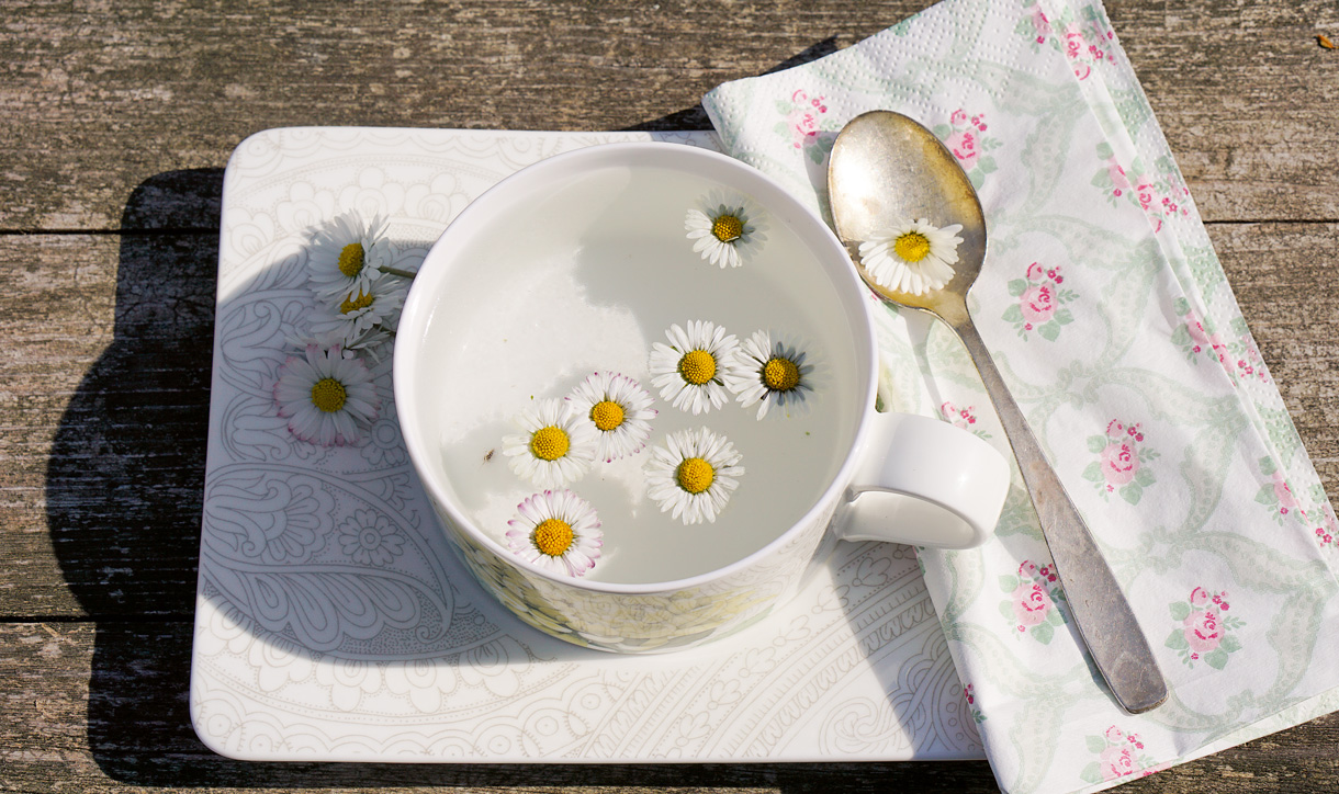 Ansicht von Oben: Eine Tasse heisses Wasser mit Gänseblümchen-Blüten steht auf einem Holzgartentisch. Die Sonne scheint und die Tasse mit daneben liegendem Löffel und Serviette füllen das Bild komplett.