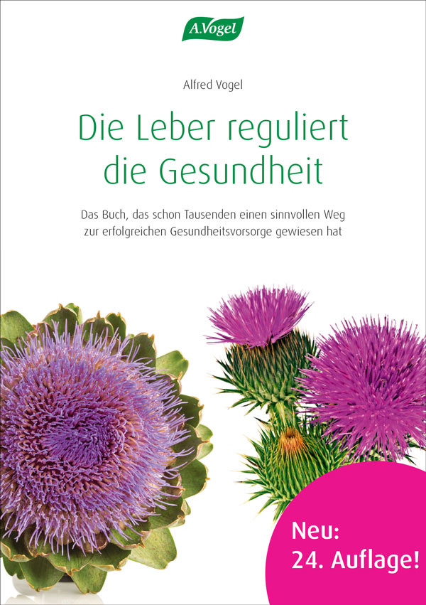 Die Leber reguliert die Gesundheit