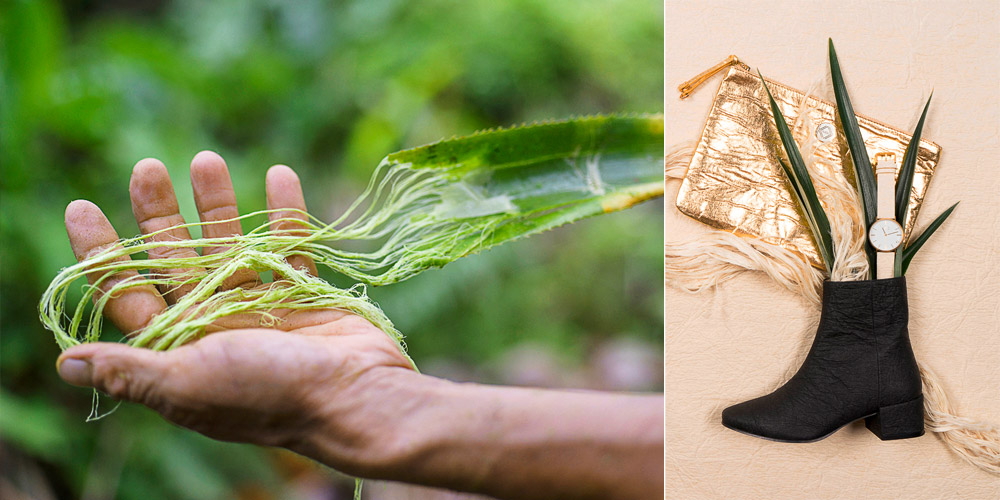 Foto Links: Ananasblatt mit ersichtlichen Fasern, Foto Rechts: Ananasleder-Produkte, Tasche & Damenstiefel