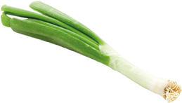 Lauch Lauch
