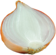 Zwiebel Zwiebel