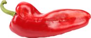 Rote Paprika Rote Paprika